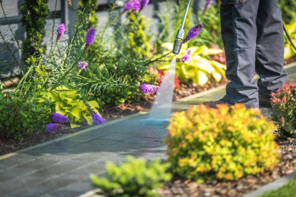 Best Restaurant Pressure Washing  in Burley, ID
